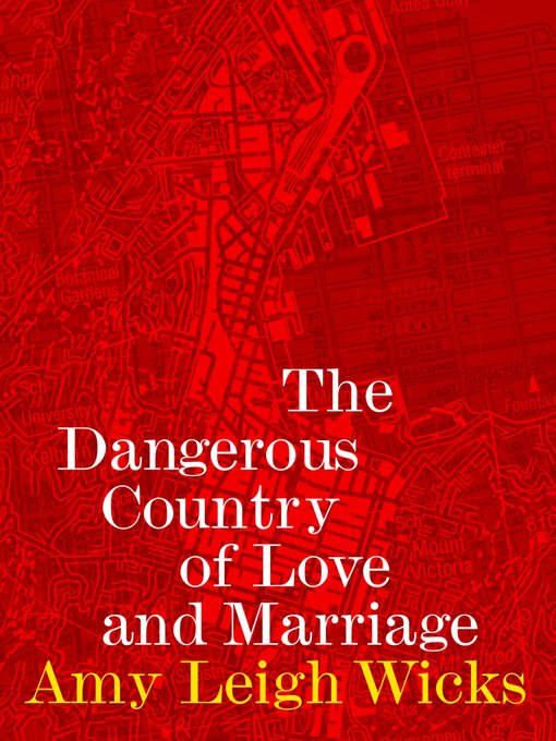 Cover image for The Dangerous Country of Love and Marriage